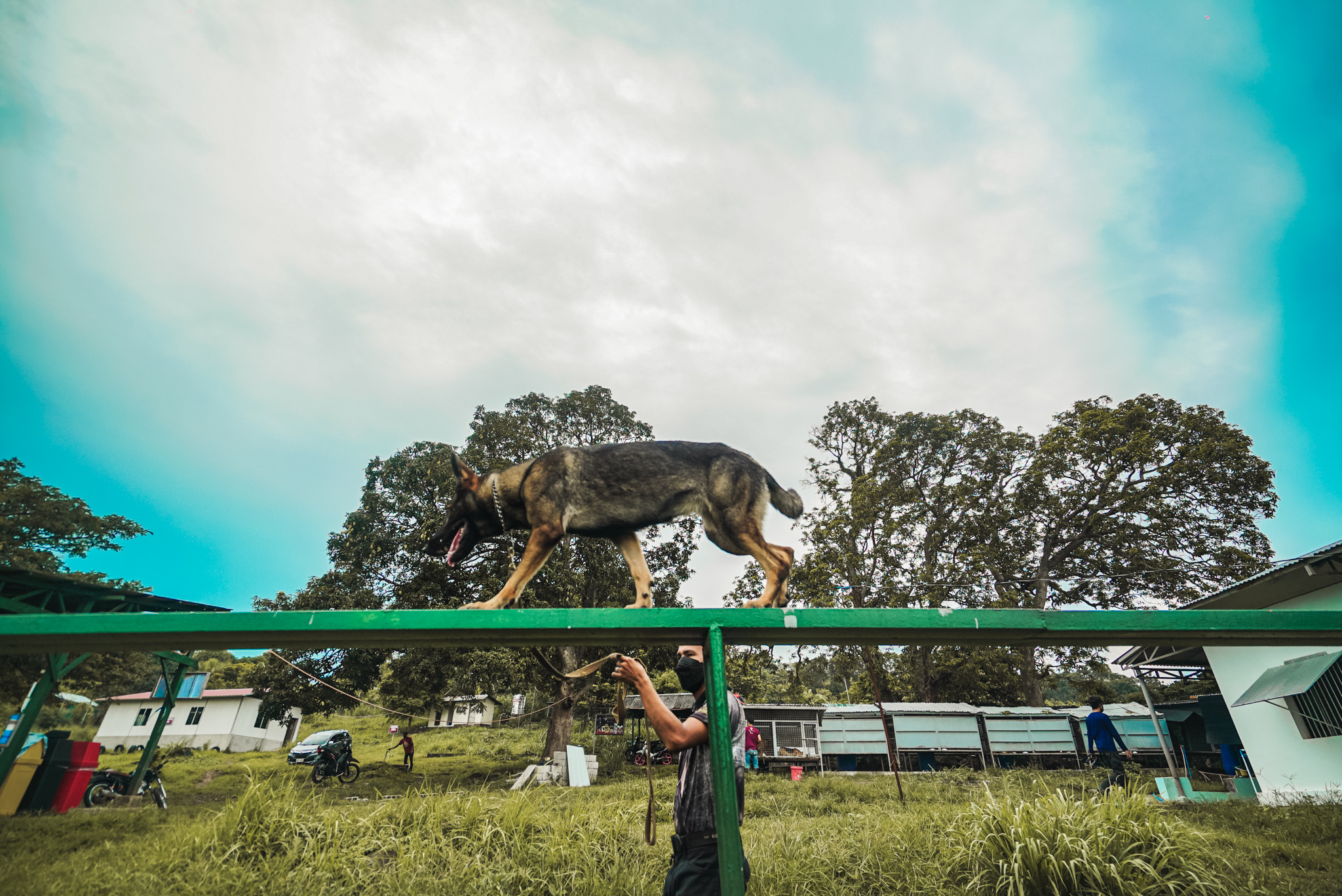 OL3 Advanced Obedience